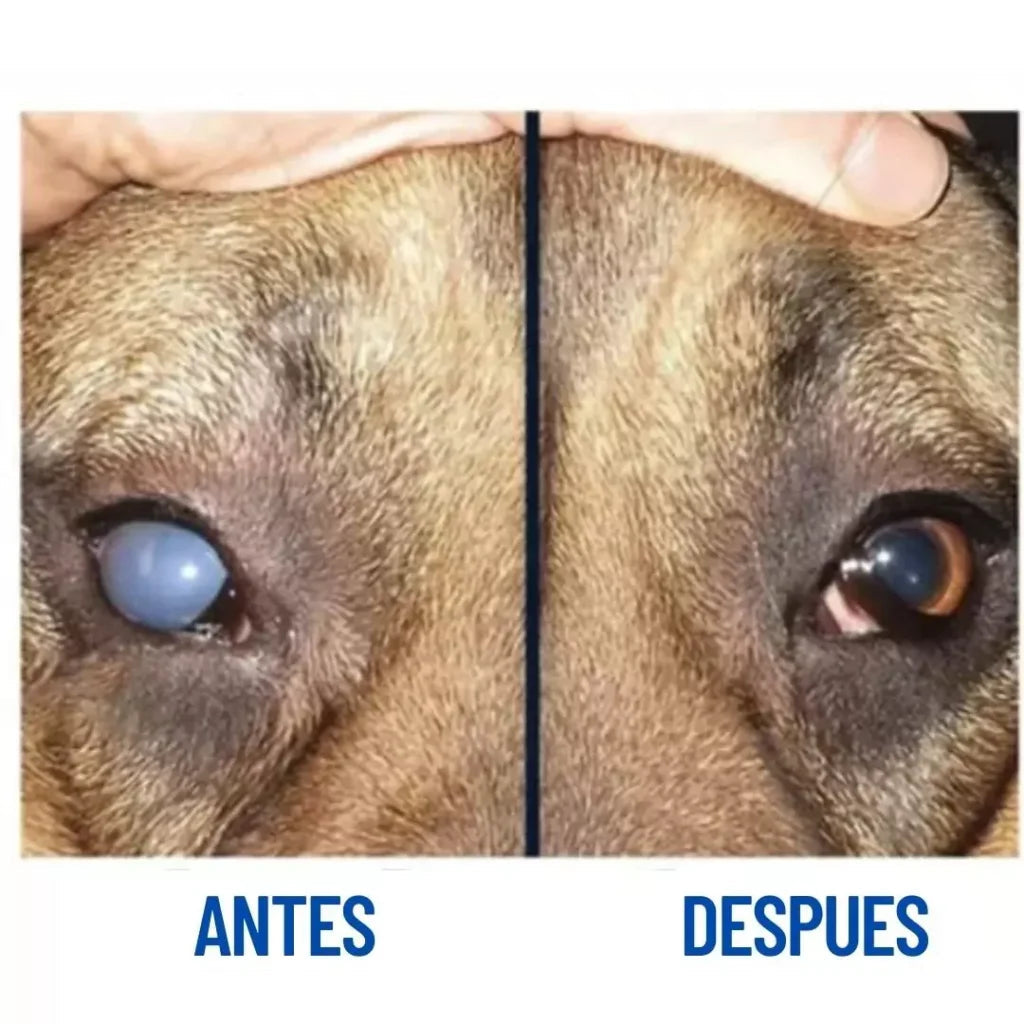 Pets Vision - Devuélvele el Brillo en los Ojitos a tu Mascota